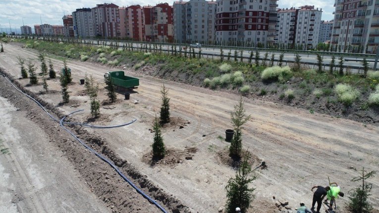 Daha yeşil Kocasinan için 15-20 yaş arası ağaçlar toprakla buluştu