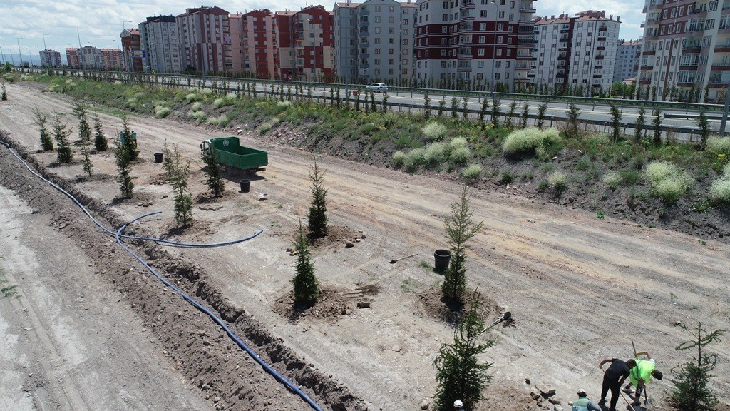 Daha yeşil Kocasinan için 15-20 yaş arası ağaçlar toprakla buluştu