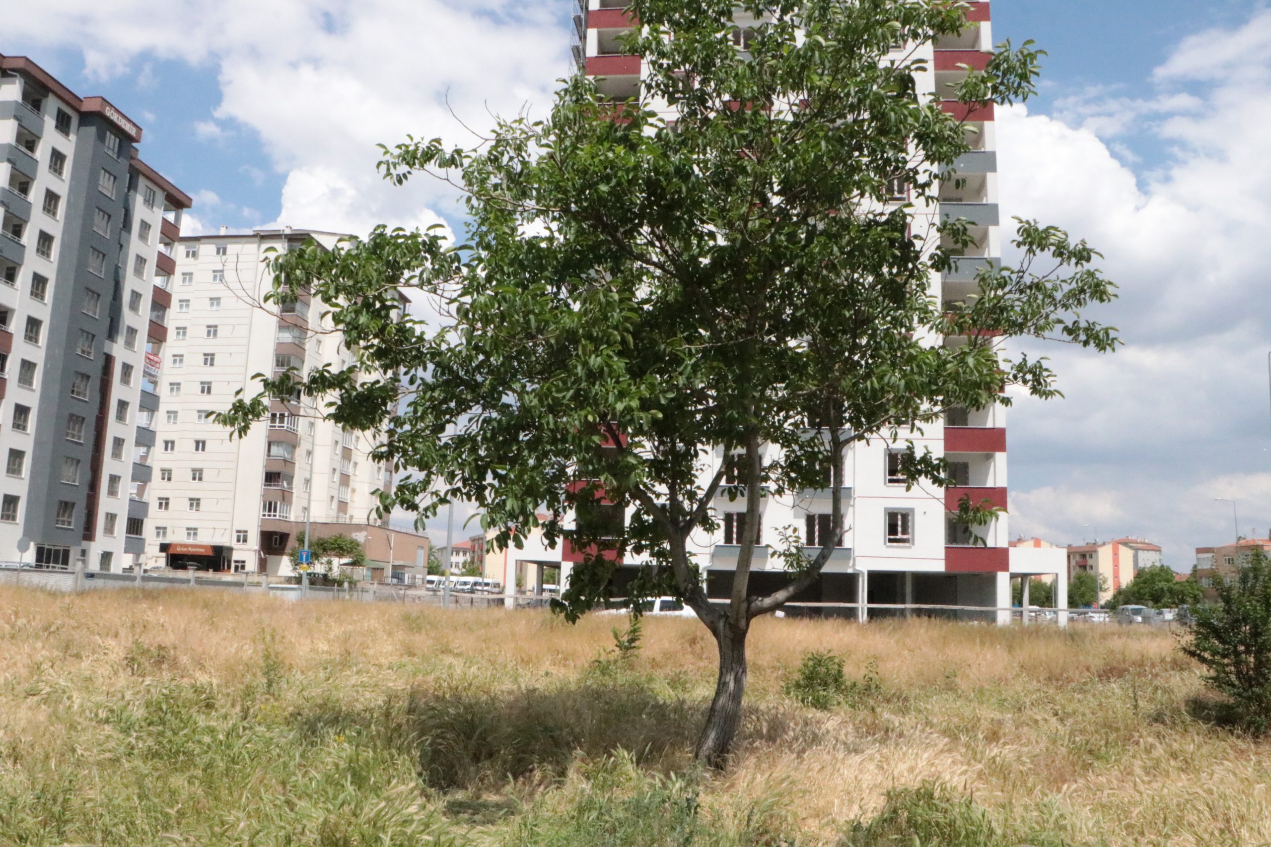 Kayseri’de boş arazide cenin bulundu