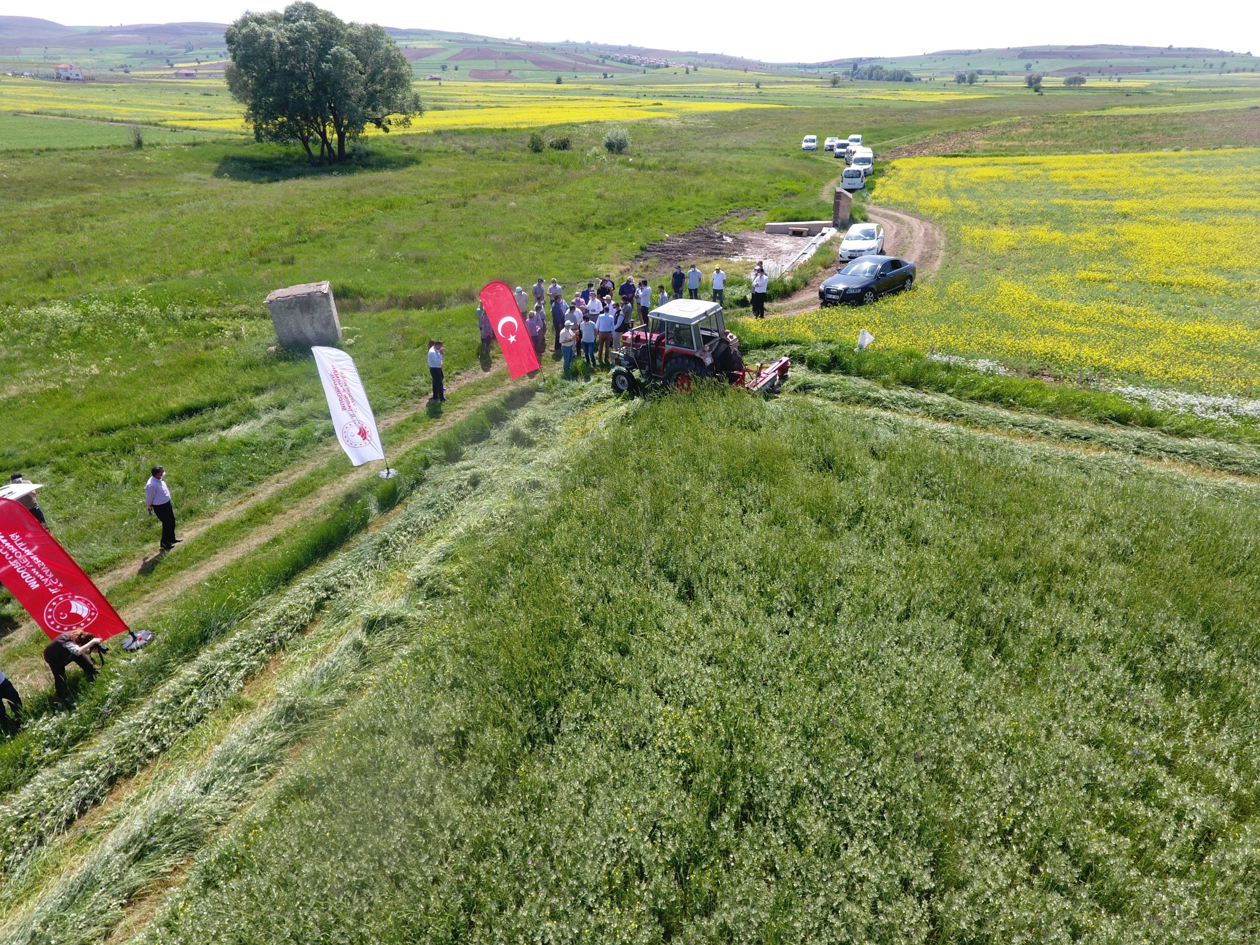 Anıza Direkt Ekimi ile çiftçiler hem üründe hem de mazotta kar edecek