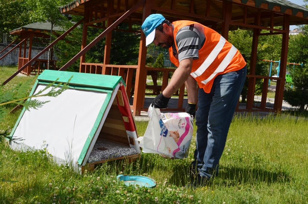 Bünyan’da sokak hayvanlarına düzenli mama ve su desteği sağlanıyor