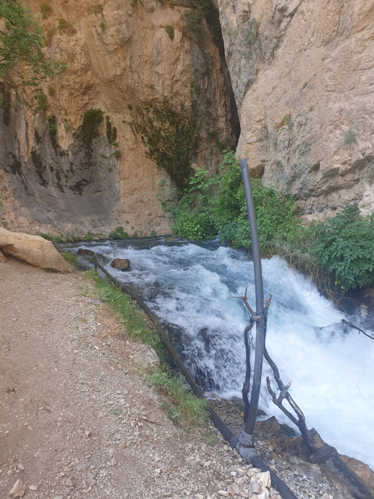 Dereye düşen Rana hayatını kaybetti