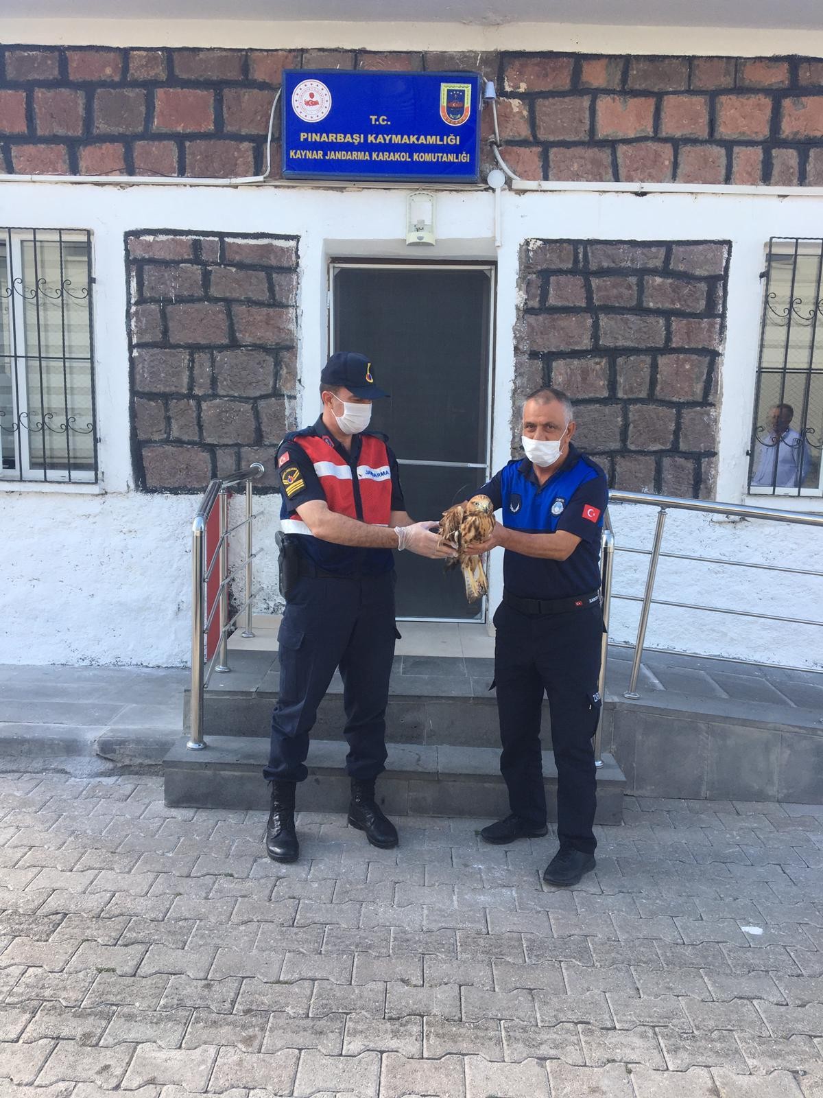 Yaralı şahine jandarma şefkati