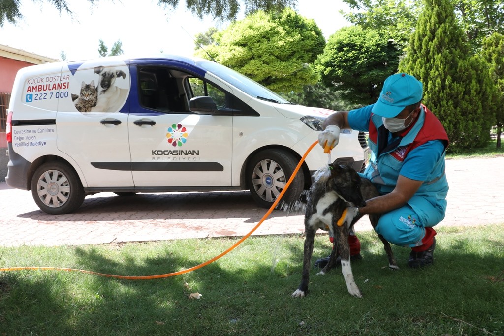 Kocasinan Belediyesi’nden küçük dostlar için büyük hassasiyet