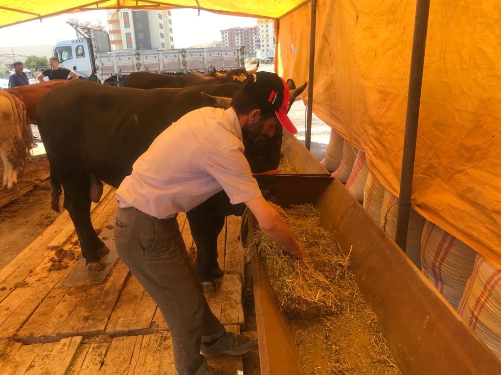 Besiciler nasıl pazarlık yapacakları konusunda şaşkın