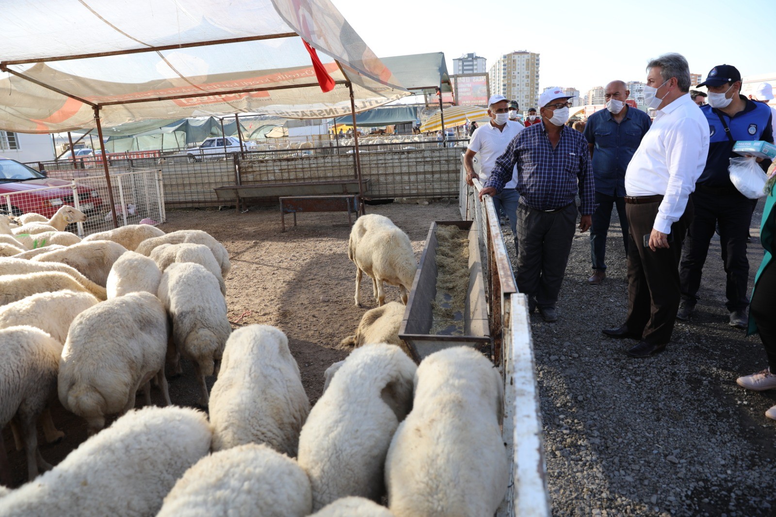 Başkan Palancıoğlu, Serkent kurban pazarı denetiminde