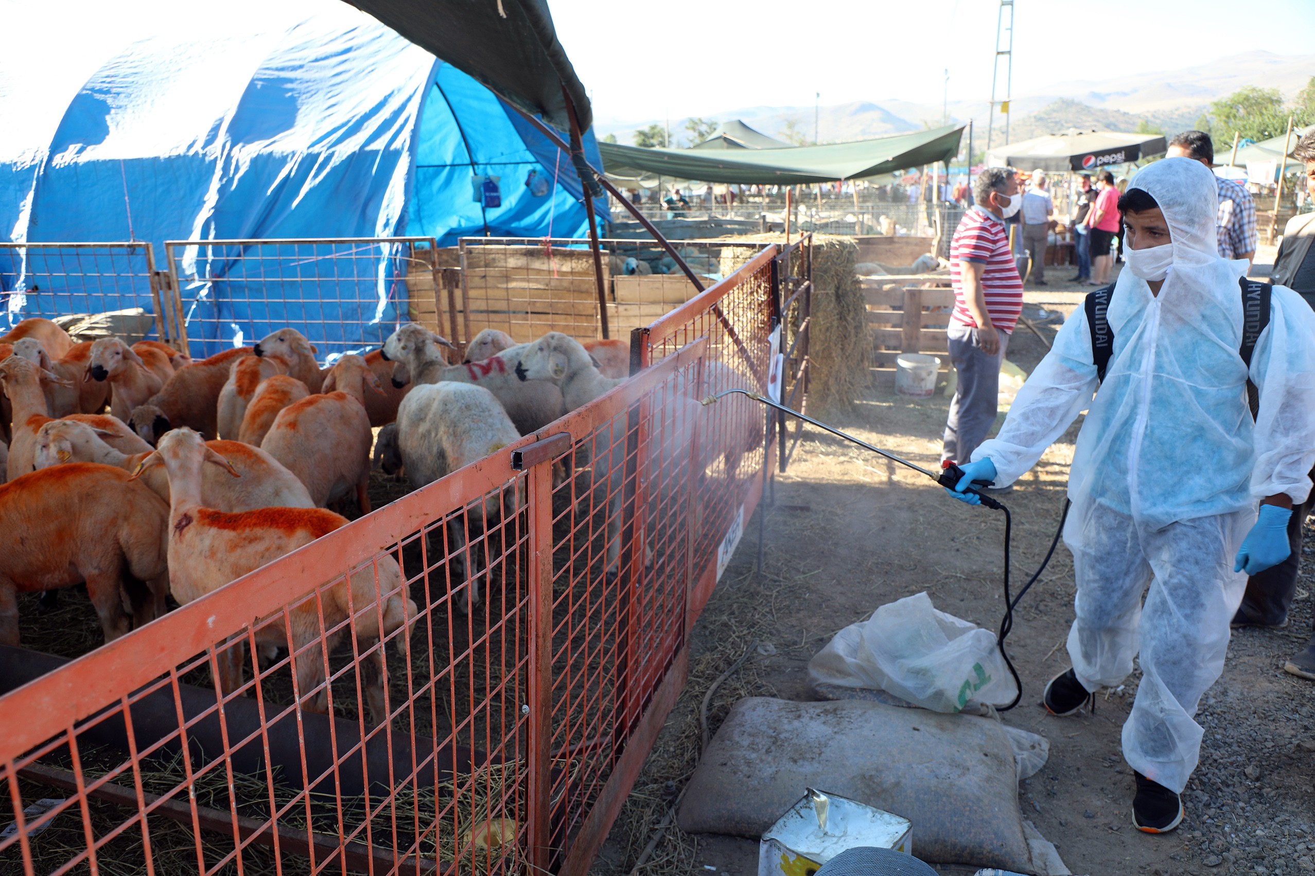 TALAS’TA KURBAN HİJTEİNK VE TEMİZ ORTAM