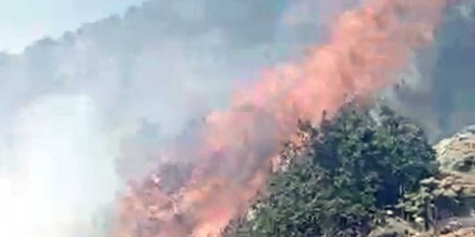 Kayseri’de orman yangınına helikopterli müdahale