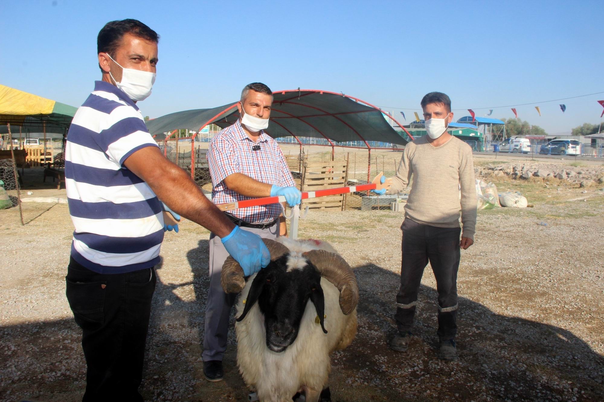 KAYSERİ’DE 41 BİN 18 ADET KURBAN KESİLDİ TARIM VE ORMAN MÜDÜRLÜĞÜ KURBAN BAYRAMI’NDA TAM NOT ALDI
