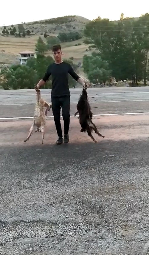 Besicinin hız ve alt geçit isyanı