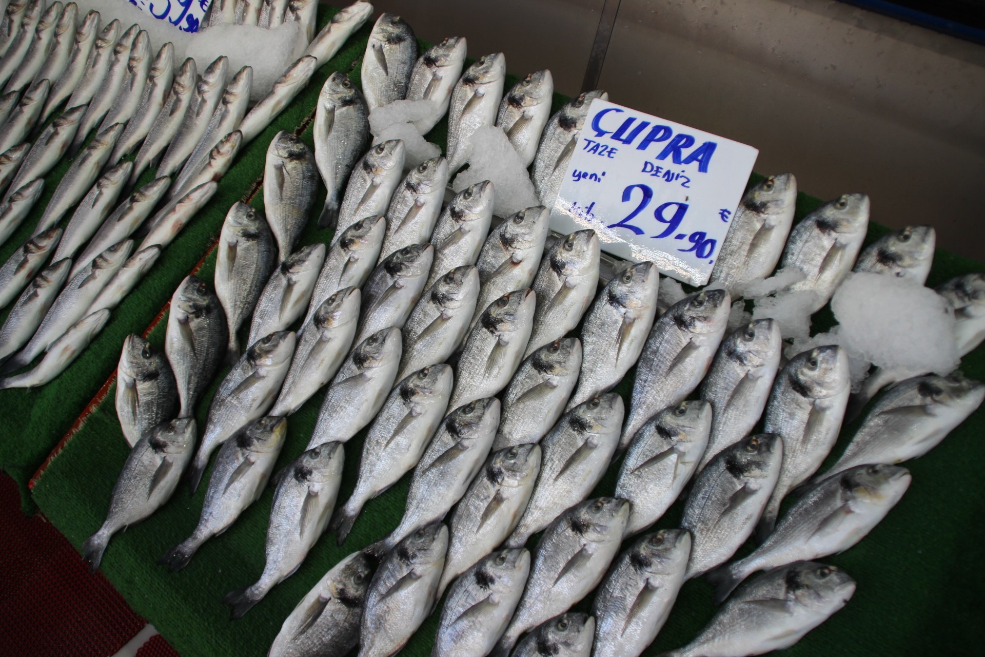 Balıkçılar yeni sezondan umutlu