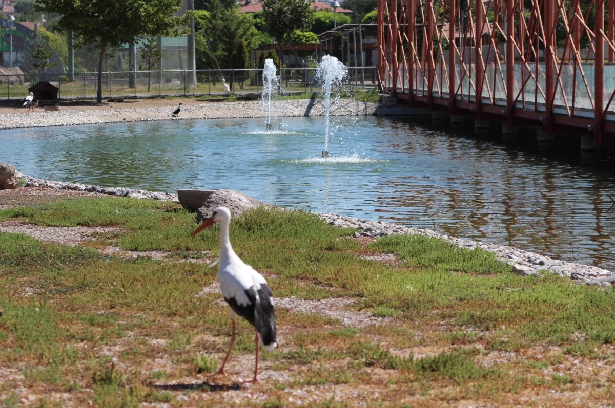 Anadolu Harikalar Diyarı Hayvanat Bahçesi 24 bin ziyaretçiyi ağırladı