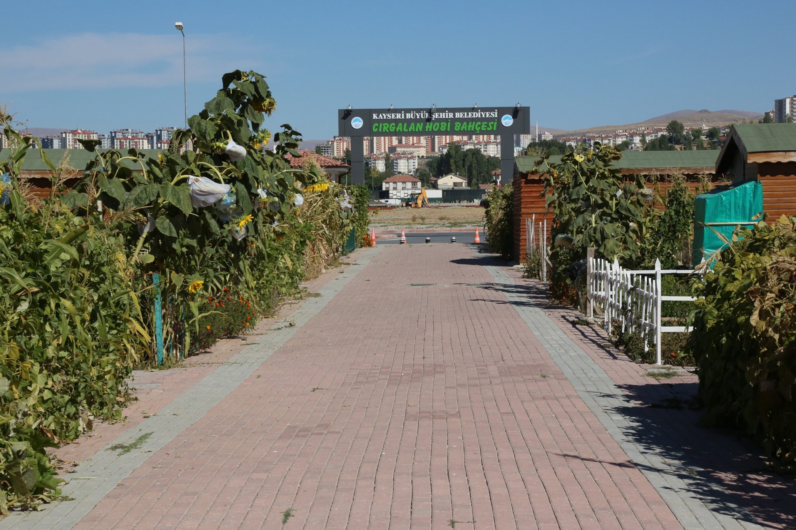 Hobi bahçelerinin kullanım hakkı 1 yıl uzatılacak