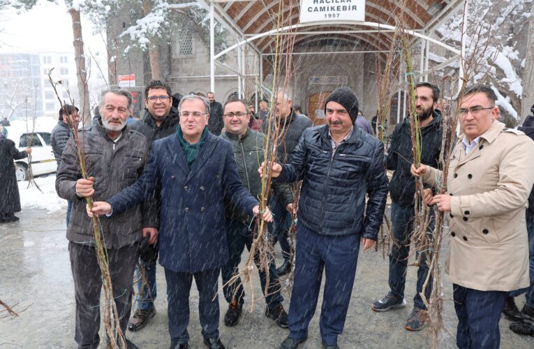 Hacılar’da Fidan Dağıtımı Vatandaşlardan Yoğun İlgi Gördü